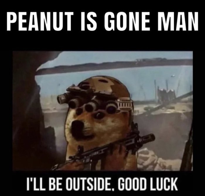 justice-for-peanut-4