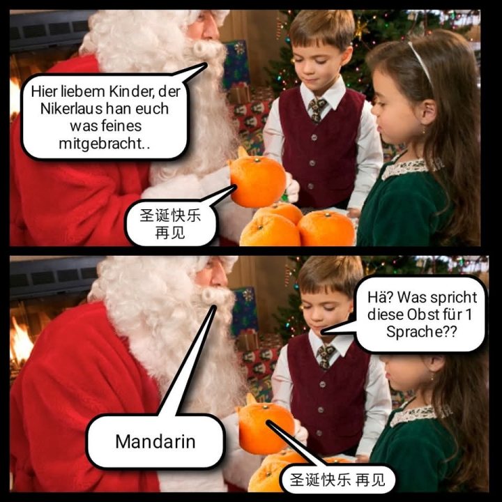 weihnachtsdump-2024-20